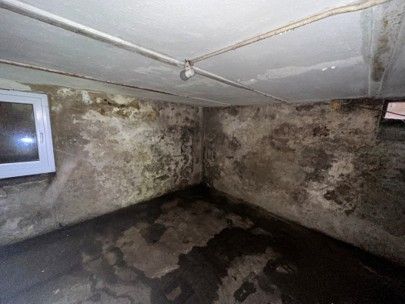 Schimmelbefallene Kellerecke mit Wasserschäden und feuchtem Betonboden
