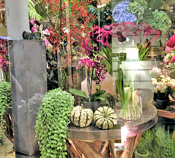 L'Herbe et la Rose, votre fleuriste à NeuillysurSeine