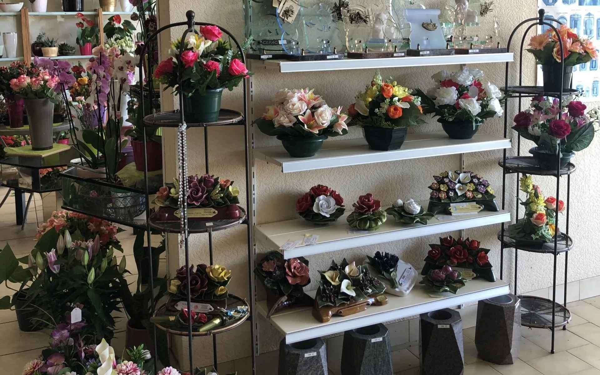 Des fleurs sur des étagères.