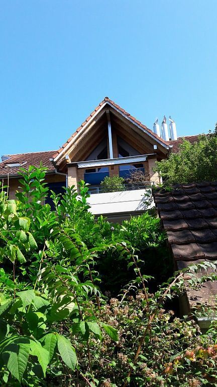 Malergeschäft Ueli Müller AG|Frauenfeld