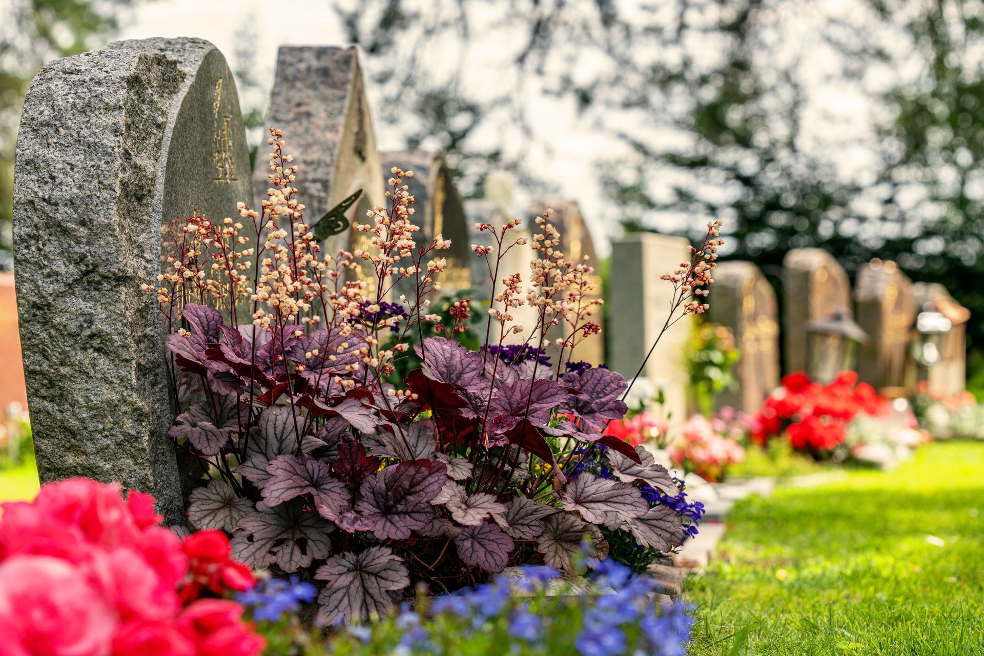 Des rangées de pierres tombales dans un cimetière, avec des fleurs colorées qui s'épanouissent au premier plan.