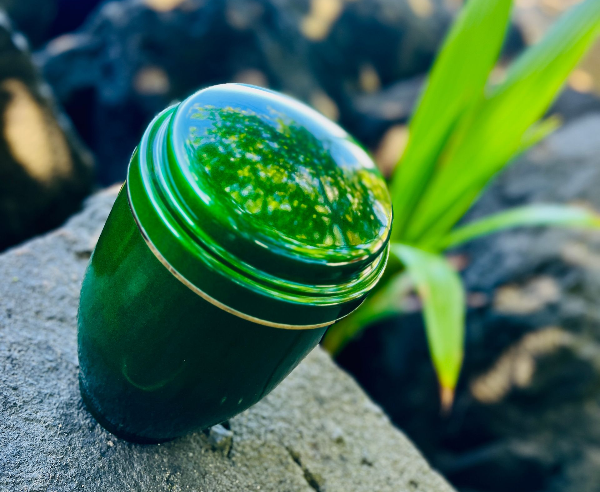Urne verte à couvercle brillant, posée sur une roche grise, avec du feuillage vert en arrière-plan.