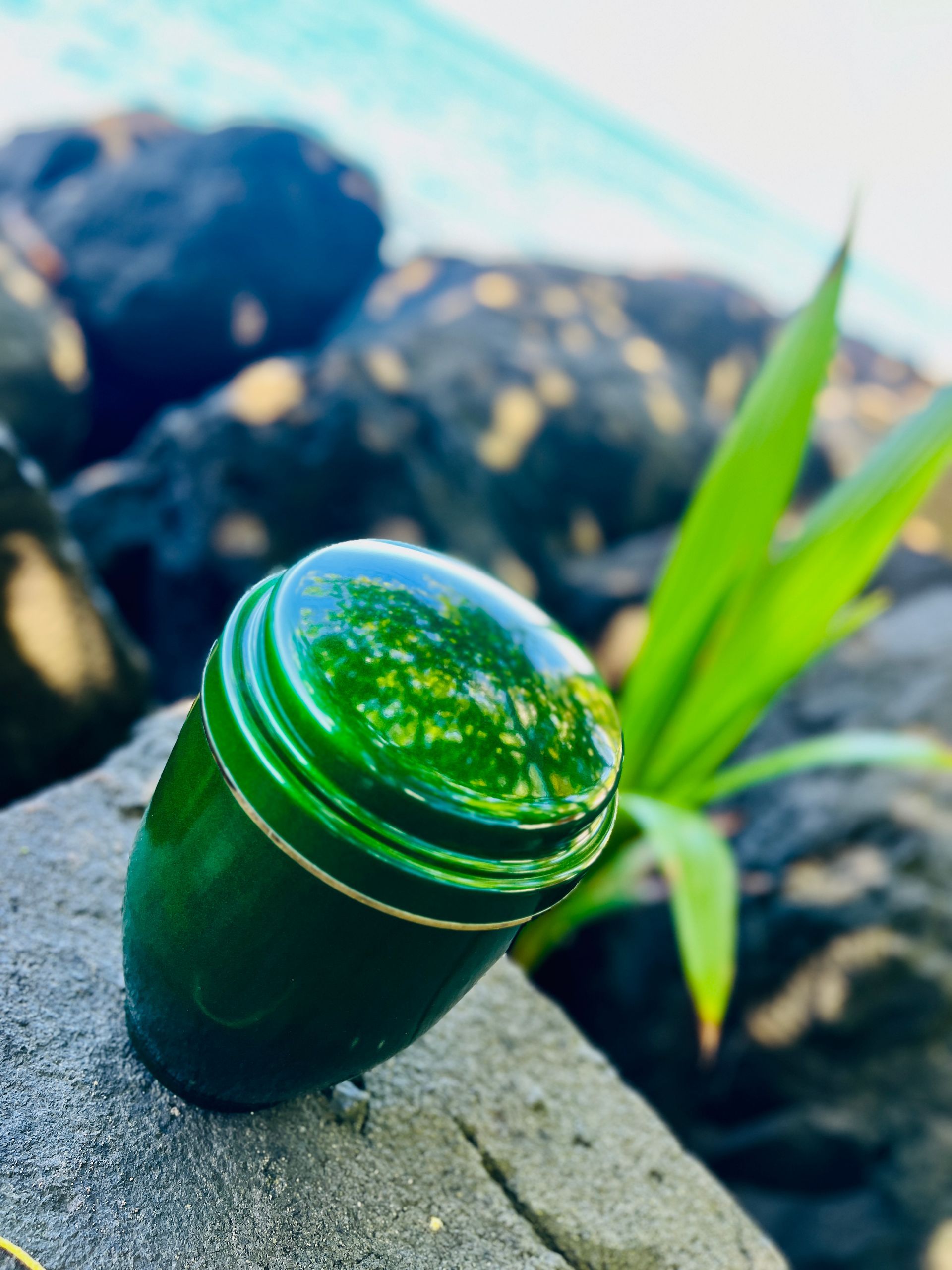 Une urne verte repose sur un rocher sombre, avec en arrière-plan un océan et une végétation flous.