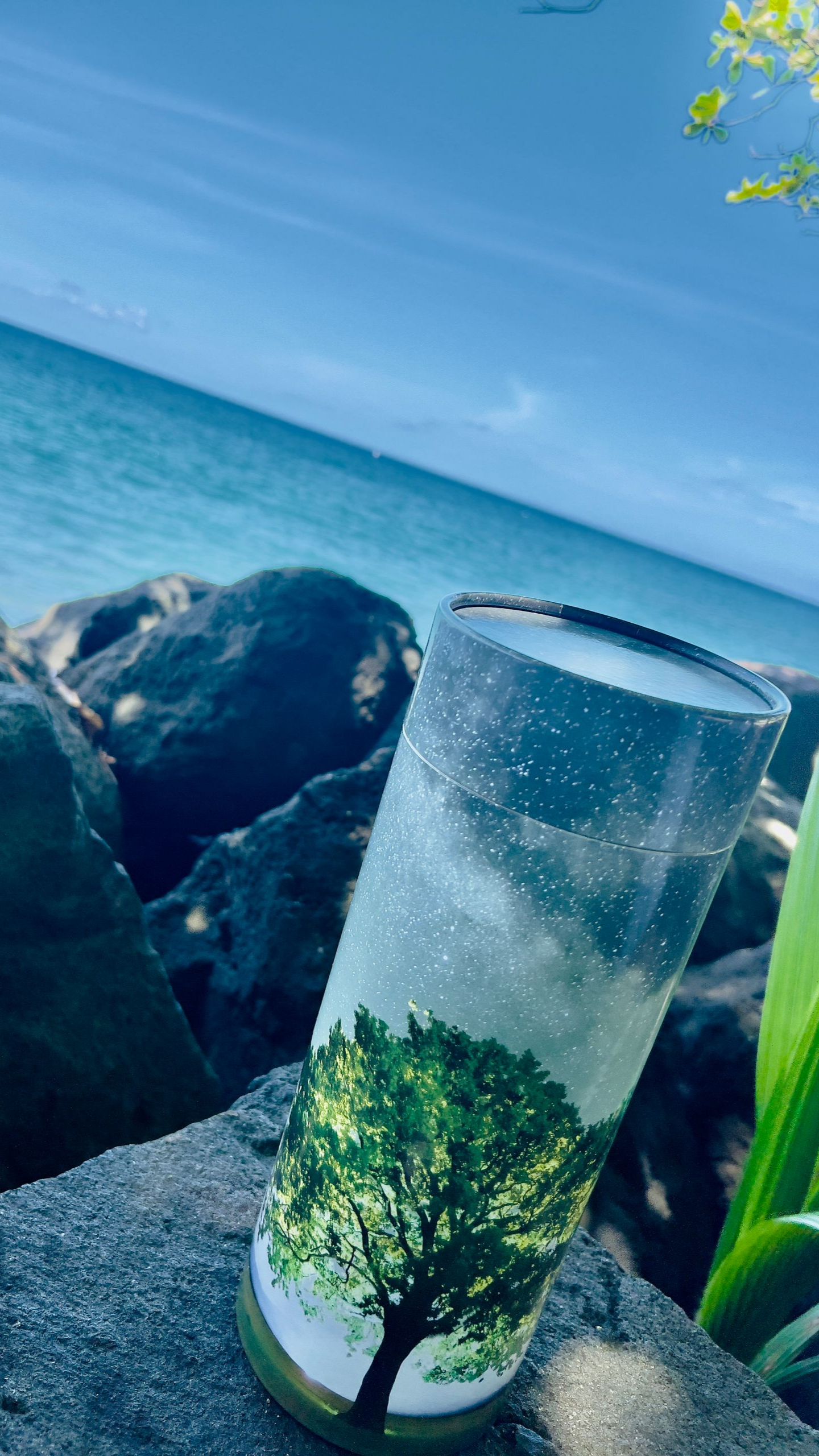 Urne à motif d'arbre sur fond de ciel étoilé, posé sur des rochers près de l'océan.