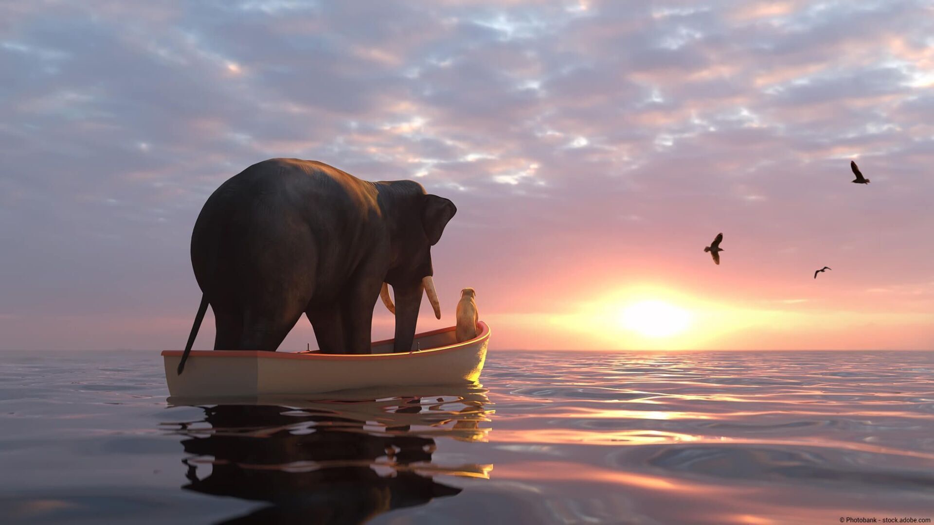 Ein erfahrener Spezialist begleitet eine Person beim Einzelcoaching.