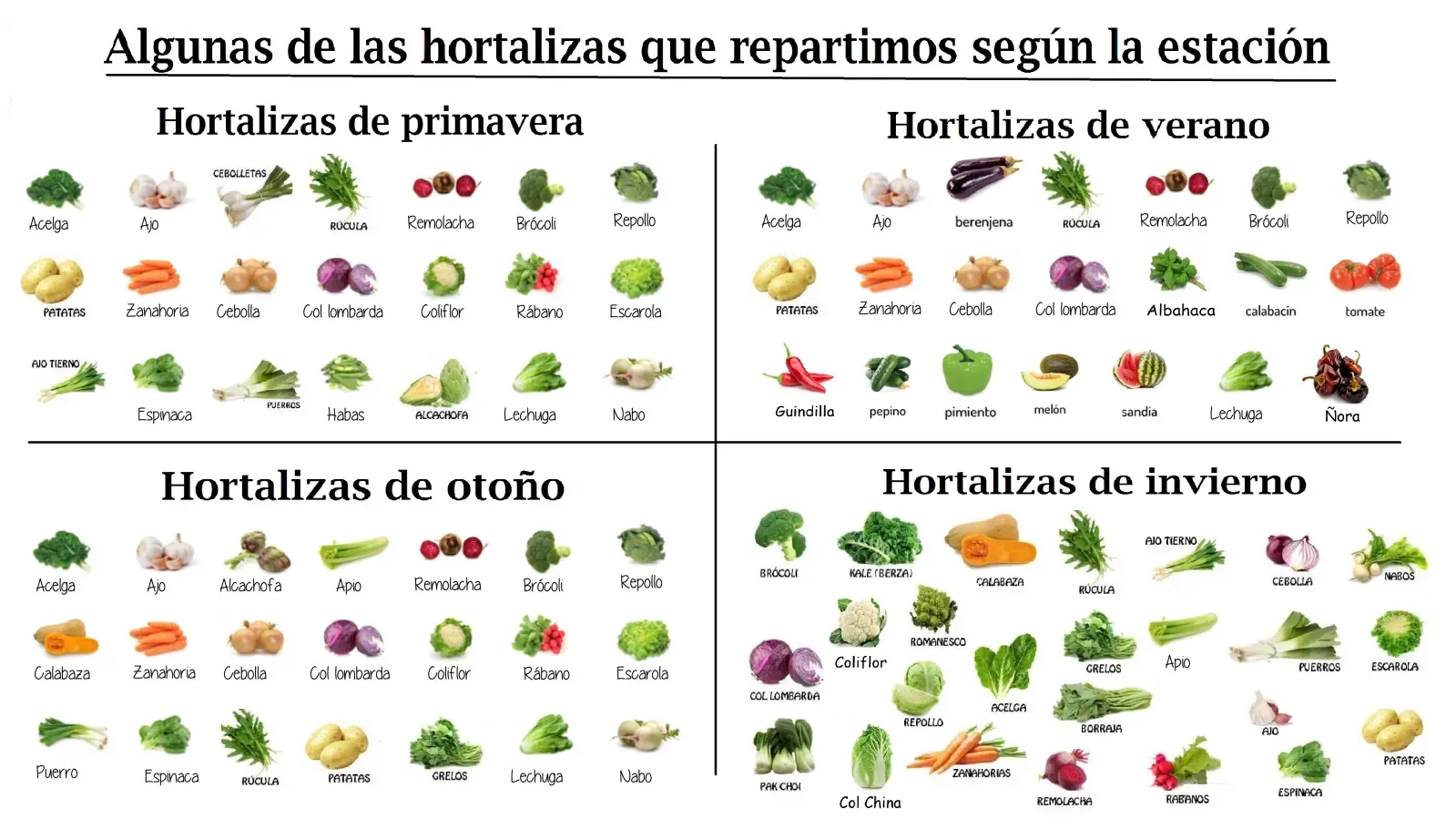 Una lista de diferentes tipos de verduras en español