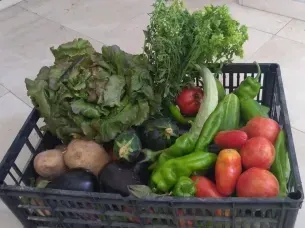 Una cesta llena de verduras reposa sobre un suelo de baldosas.
