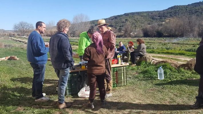 Un grupo de personas están de pie alrededor de una mesa en un campo.