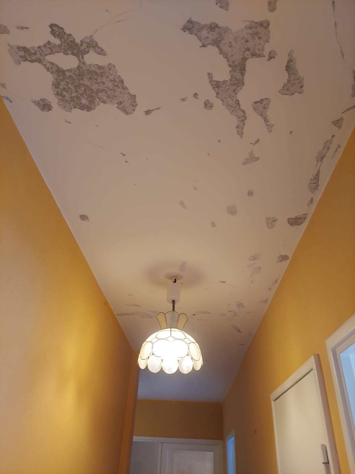 Peinture plafond avant