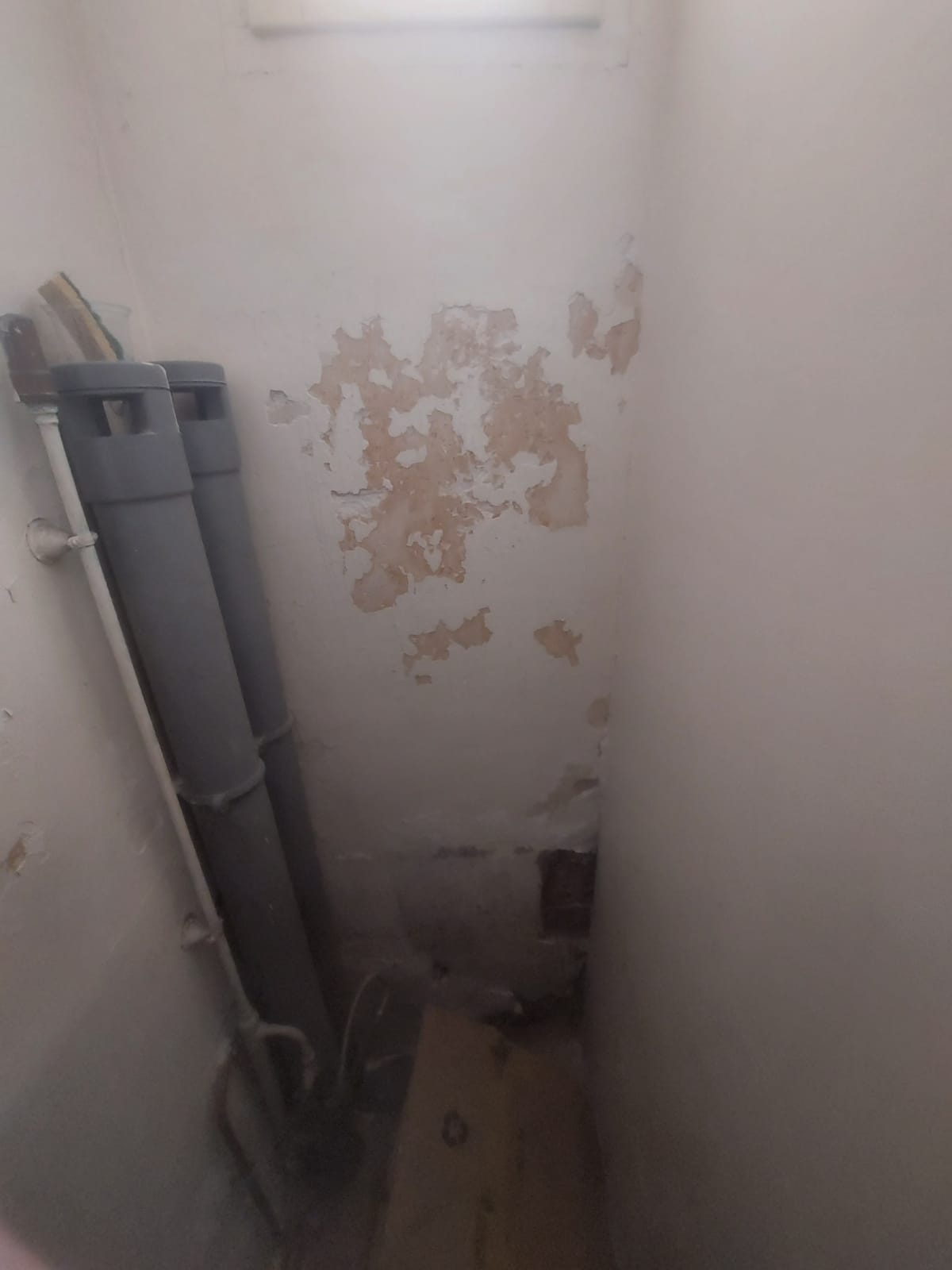 Peinture anti humidité