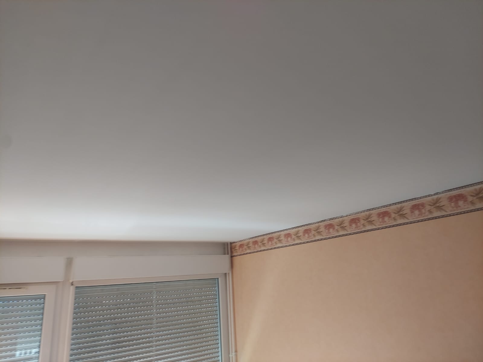 Plafond rénové