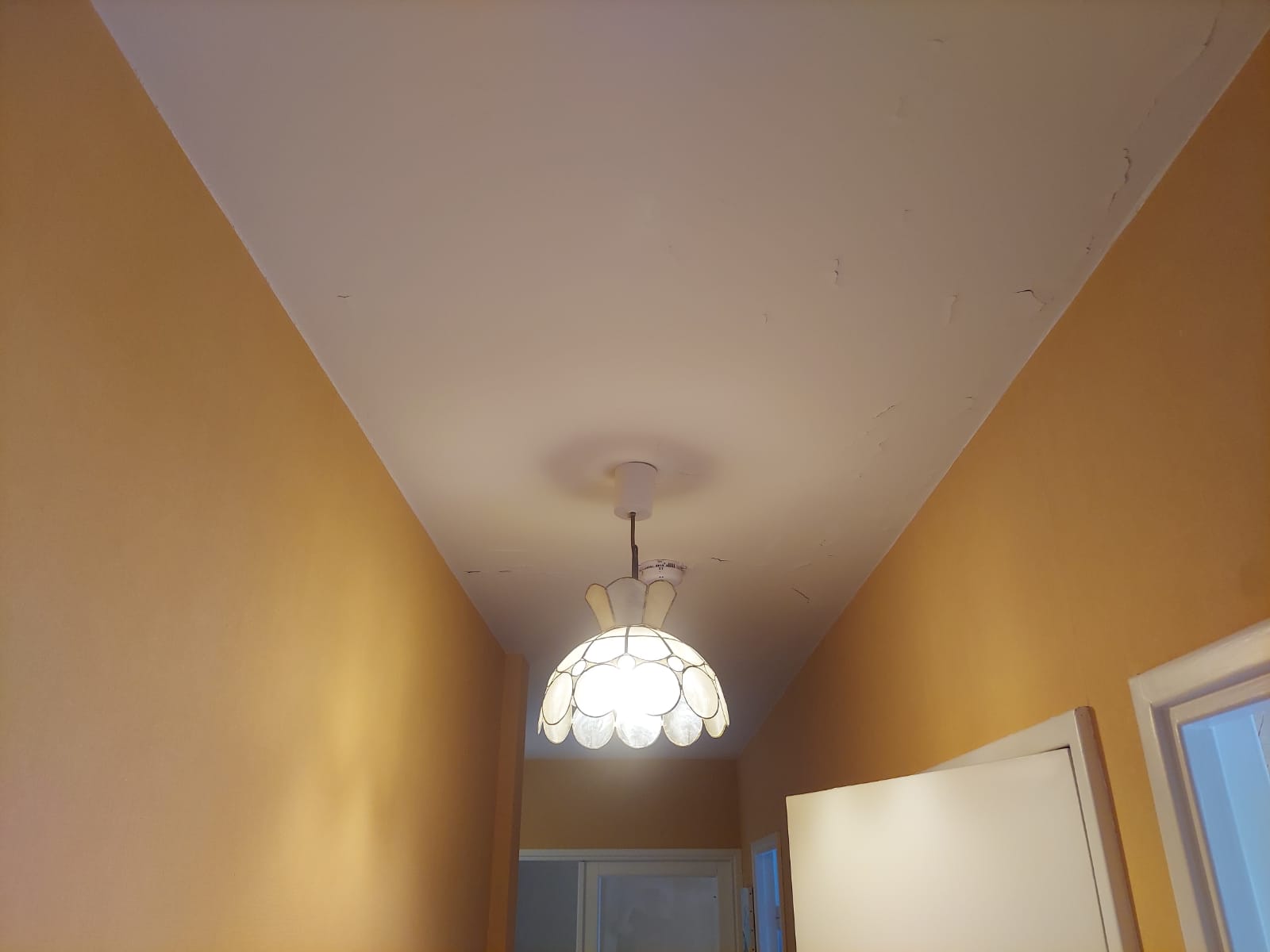 Peinture plafond après