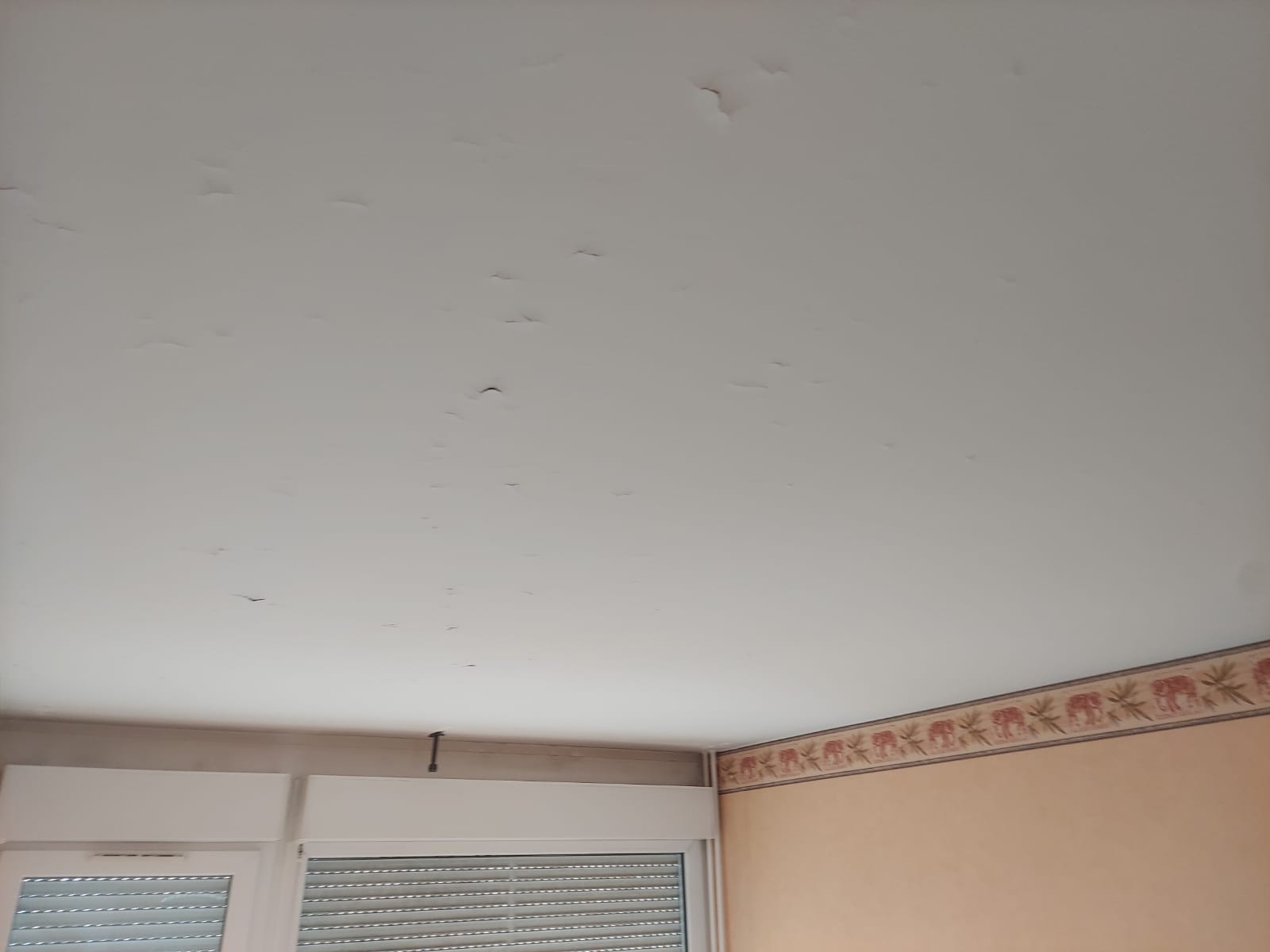 Rénovation de plafond