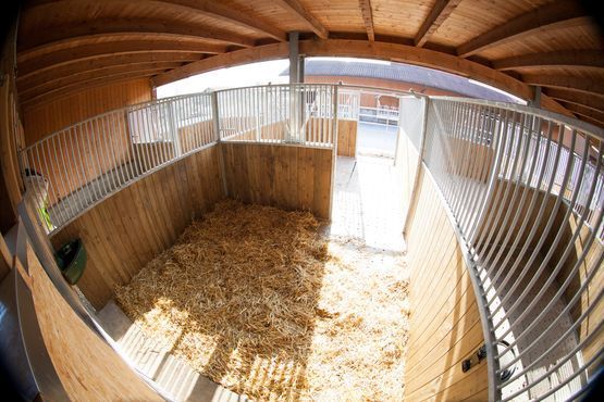 Pferdebox - Strengenhof