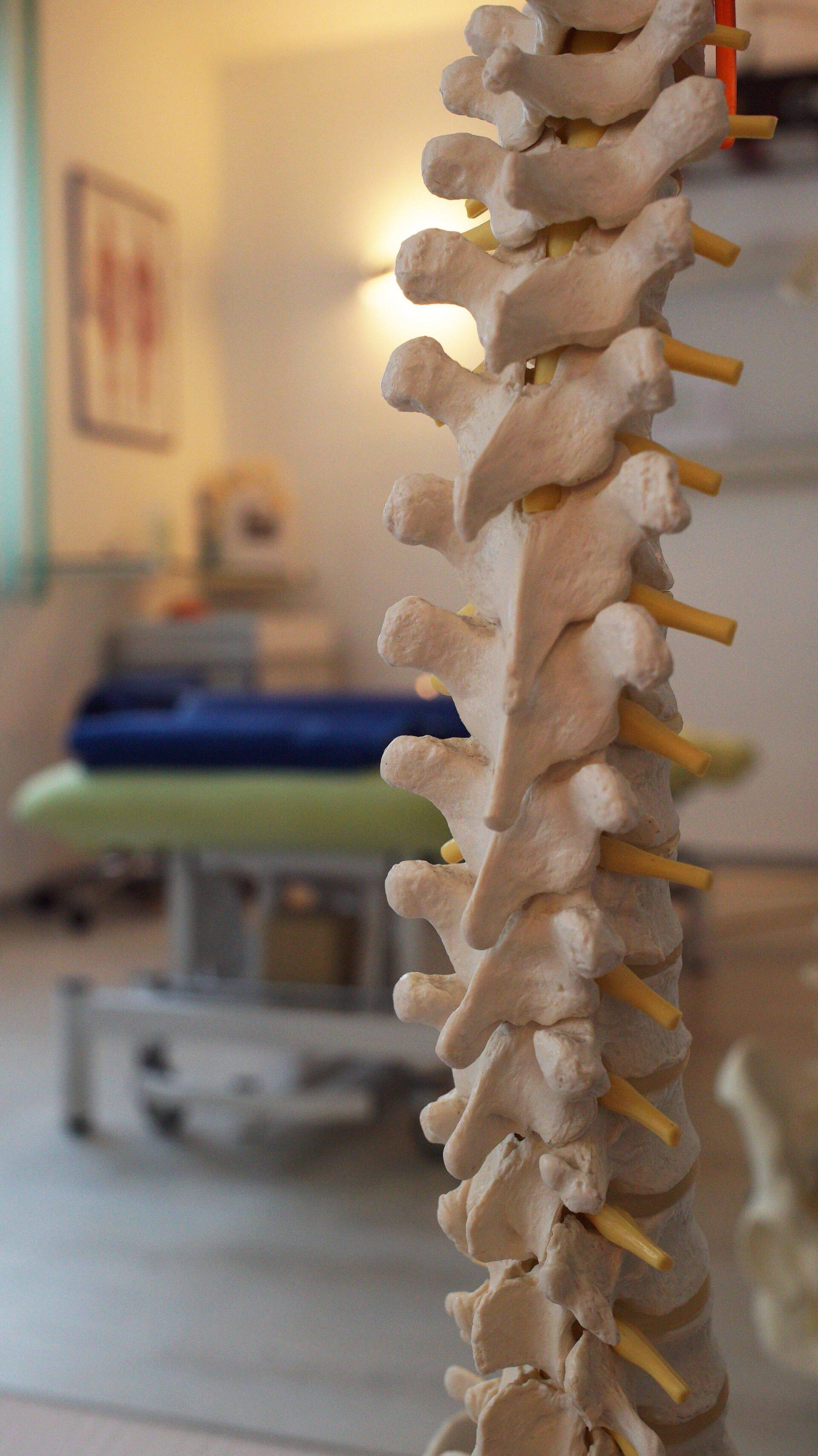 Behandlungsraum Wirbelsäule