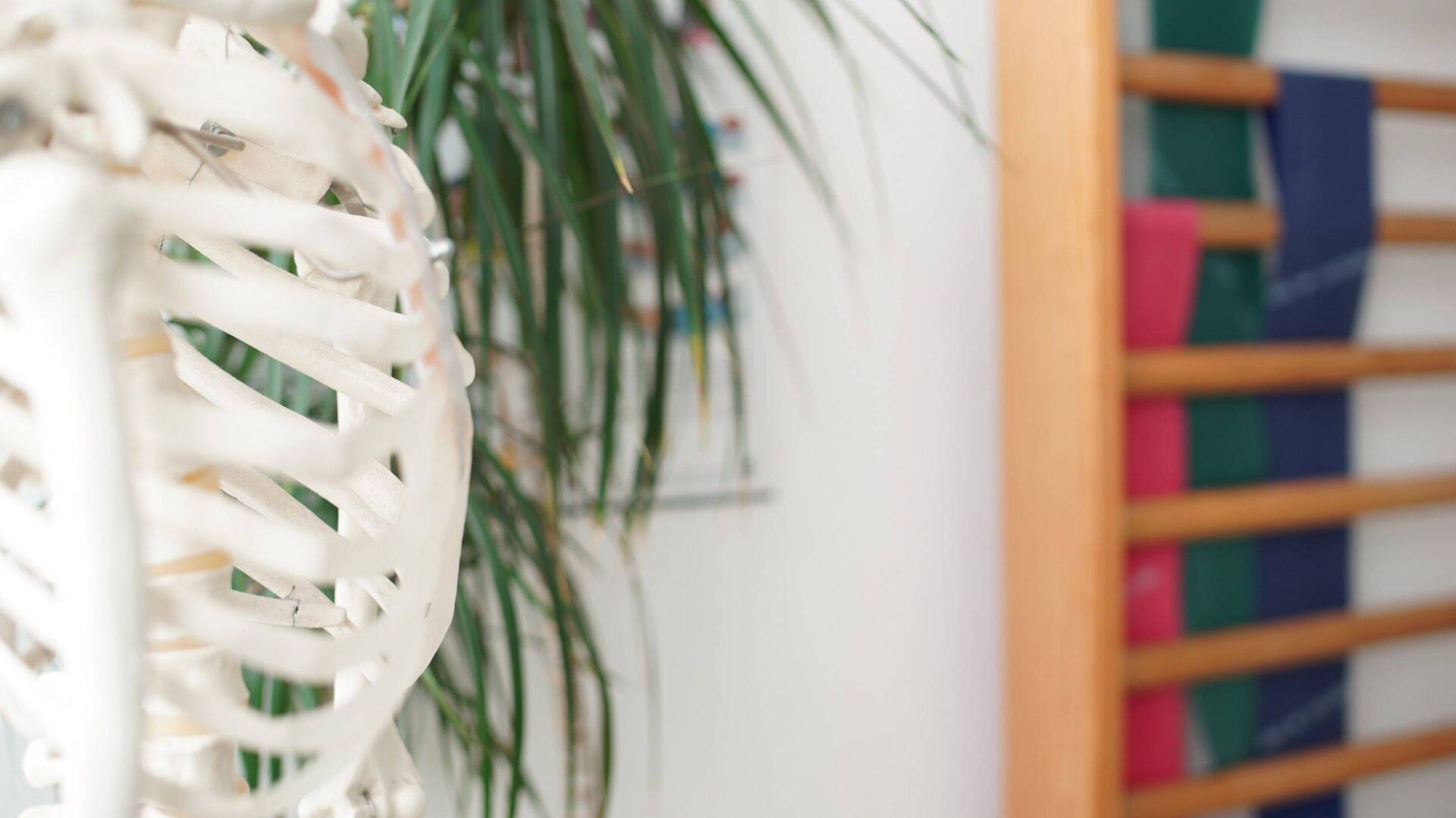 Therabänder Therapie