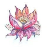 Lotus Oase, Limacher Michèle