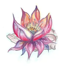 Lotus Oase, Limacher Michèle