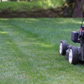 Centre Agromécanique Da Silva Carlos