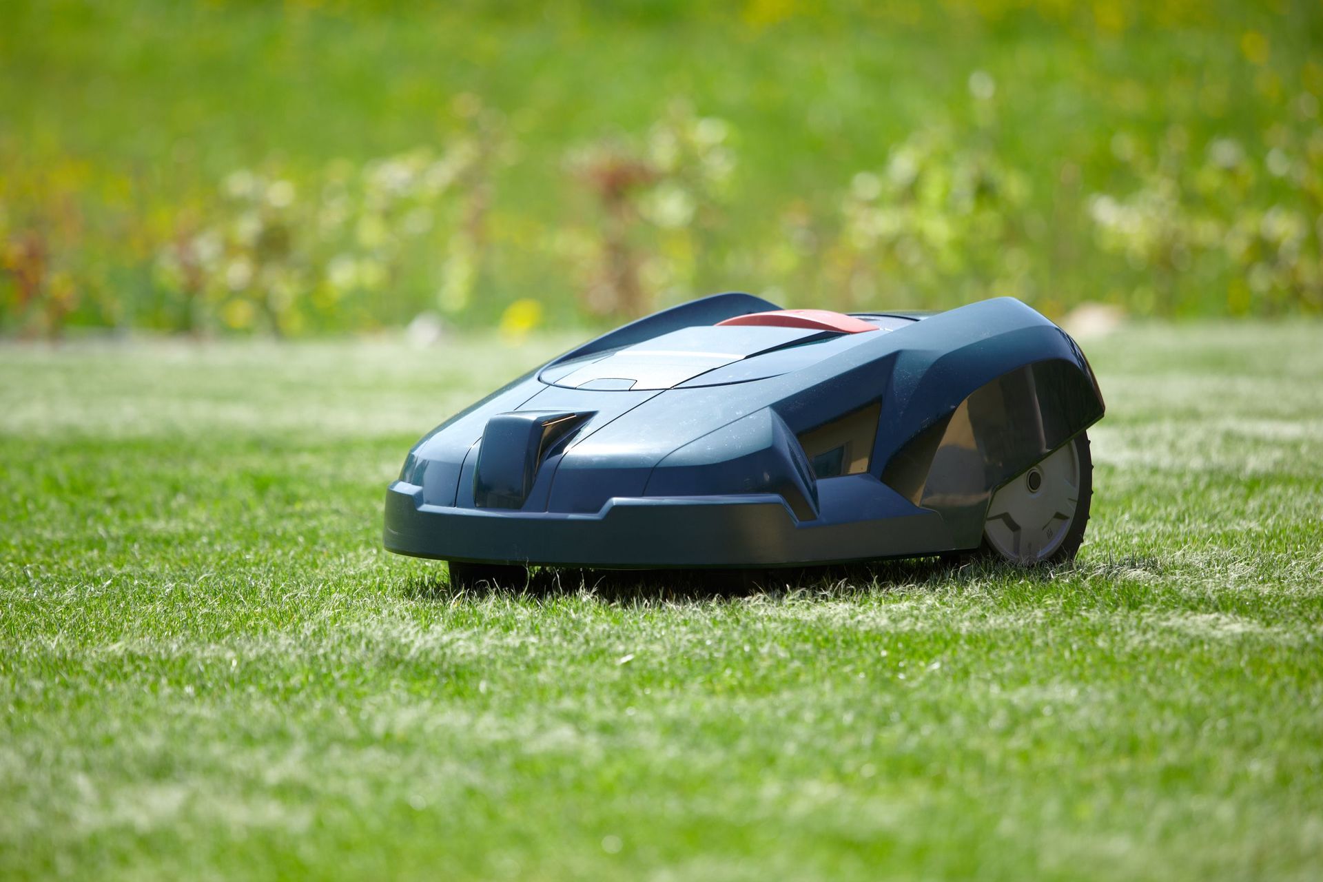 Centre Agromécanique Da Silva Carlos - fraises à neige