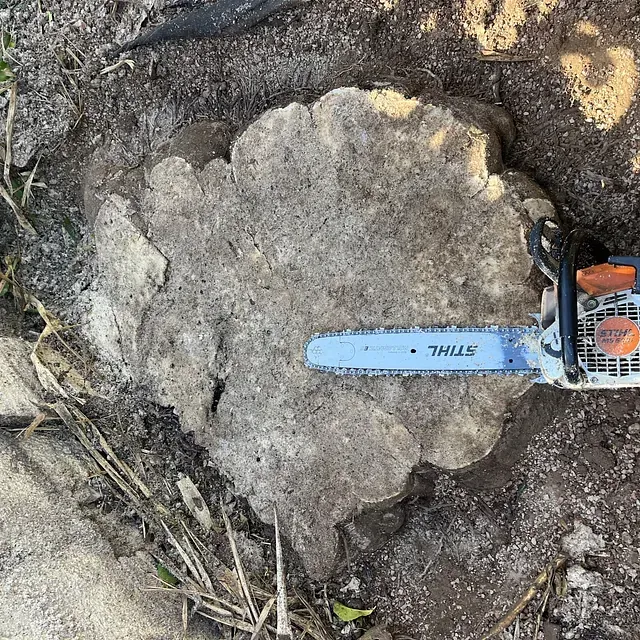 Una motosierra Stihl está junto a una gran roca.