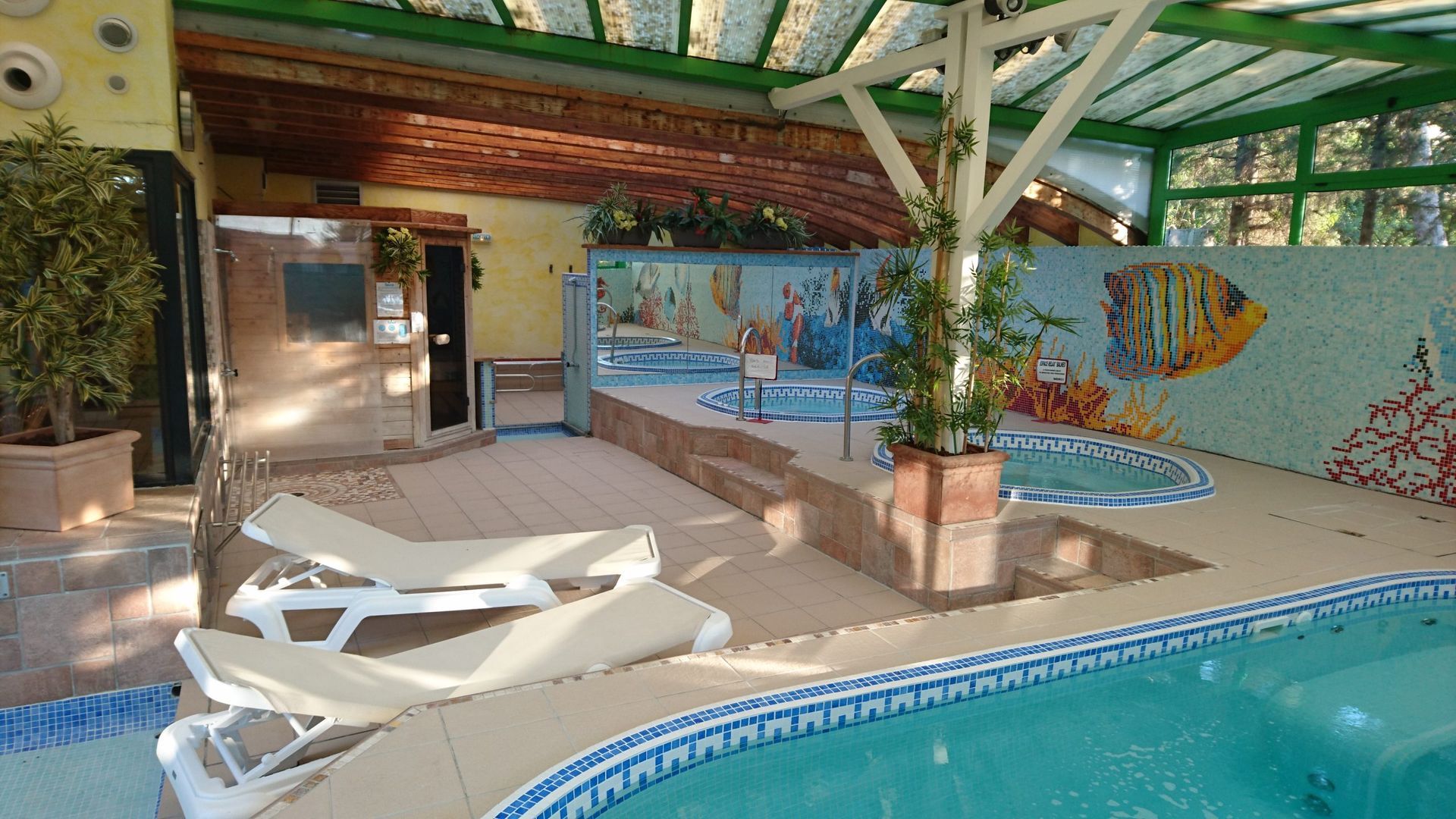 Locaux de piscines et balnéo