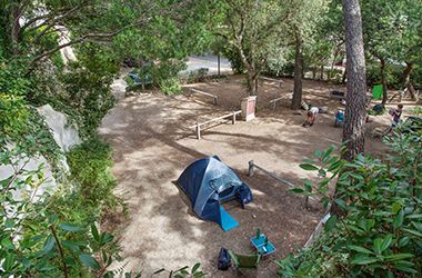 Une tente sous les arbres