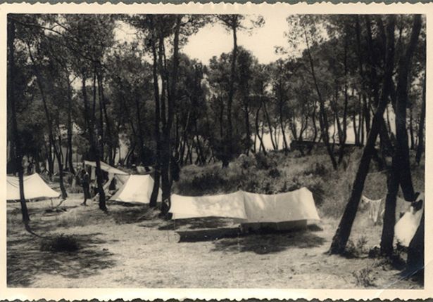 Photo des tente à l'ouverture du camping