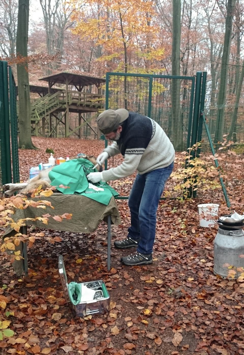 Jens Riege Kleintierpraxis (Dipl. Vet. Med.)