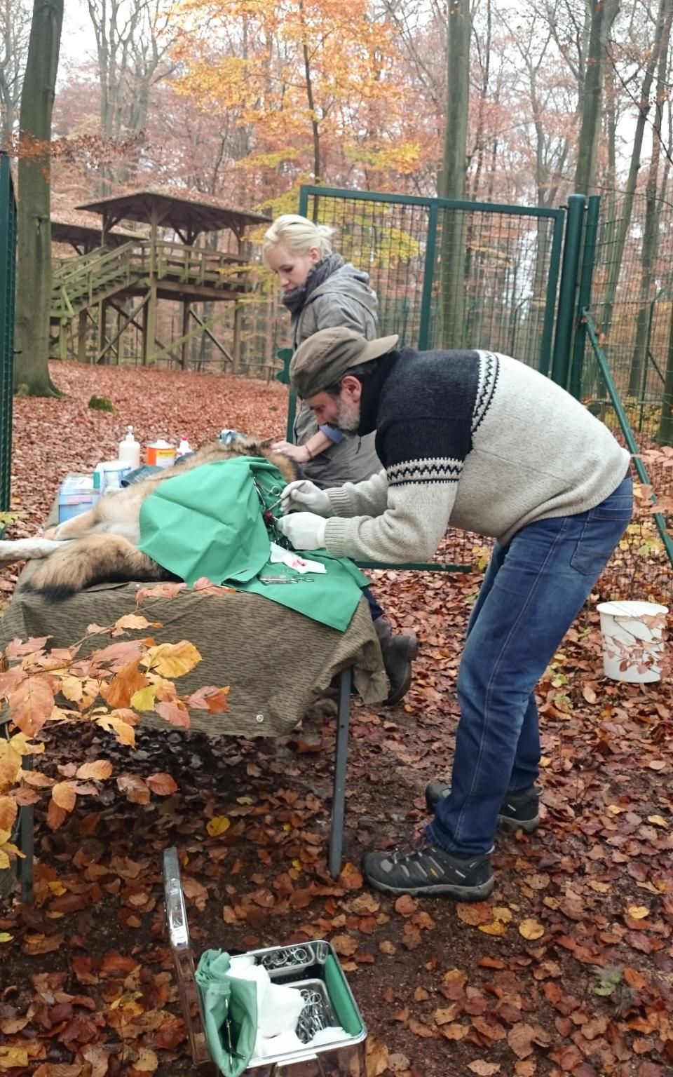 Jens Riege Kleintierpraxis (Dipl. Vet. Med.)