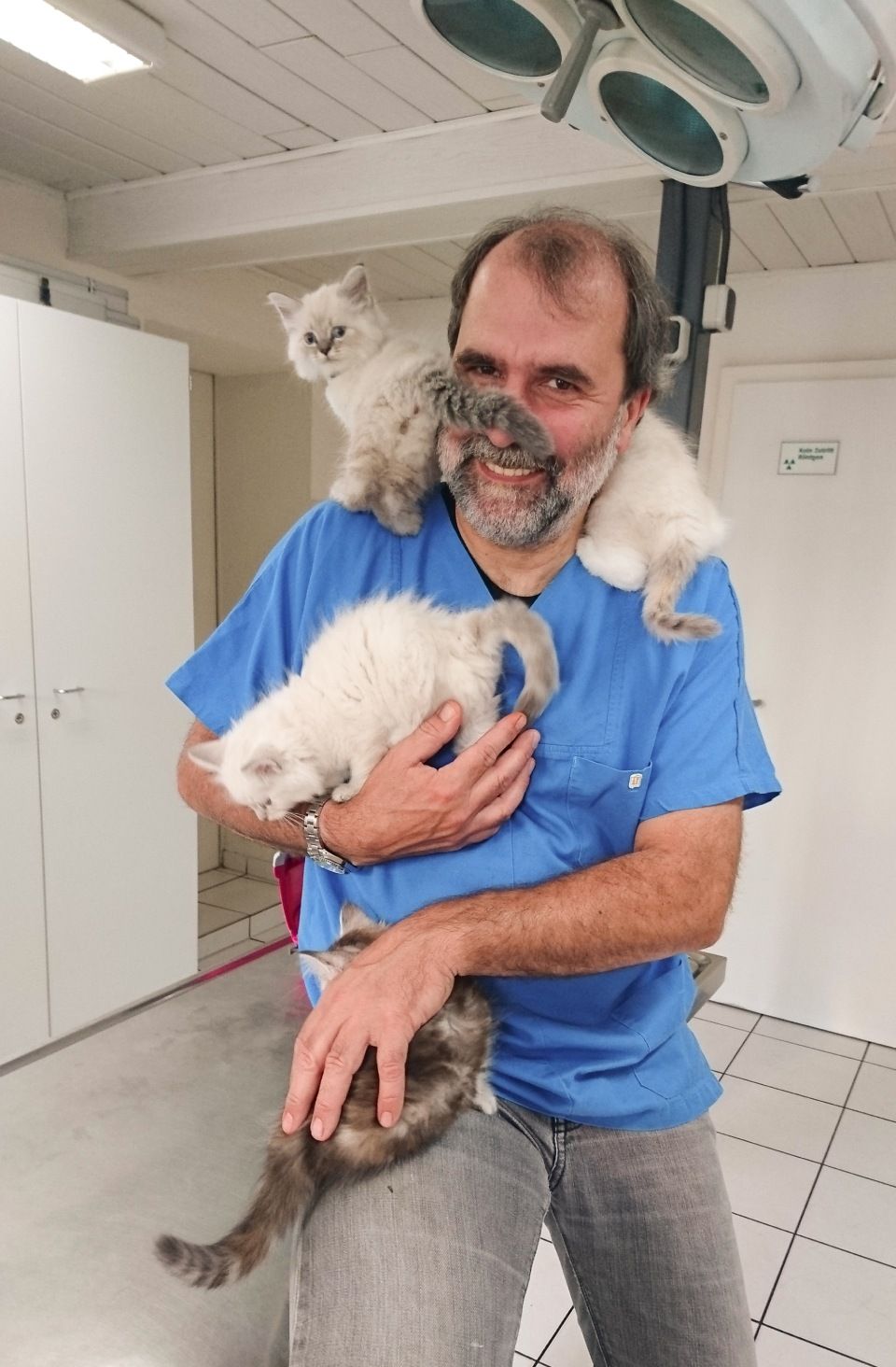 Jens Riege Kleintierpraxis (Dipl. Vet. Med.)