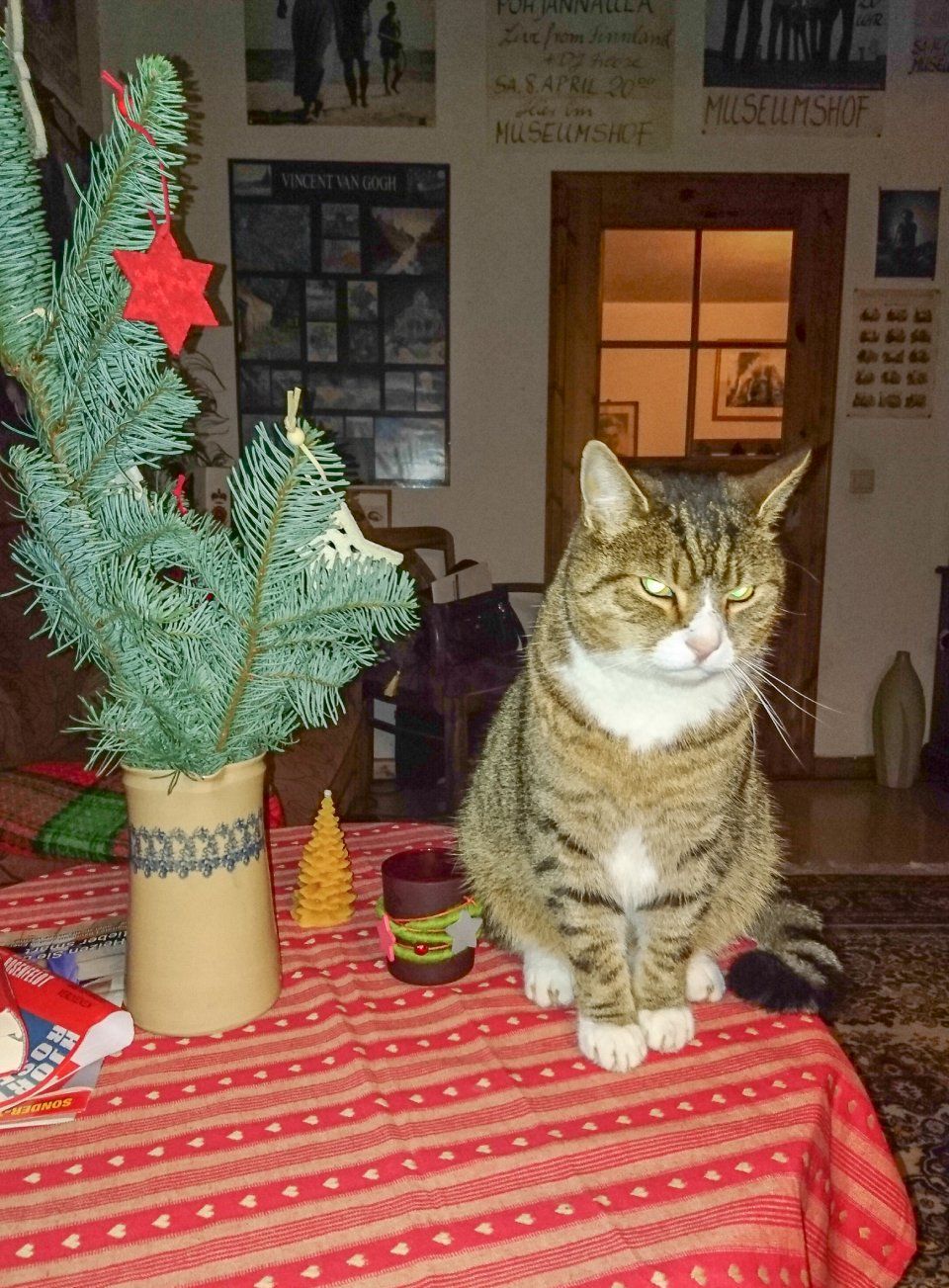 Jens Riege Kleintierpraxis (Dipl. Vet. Med.)