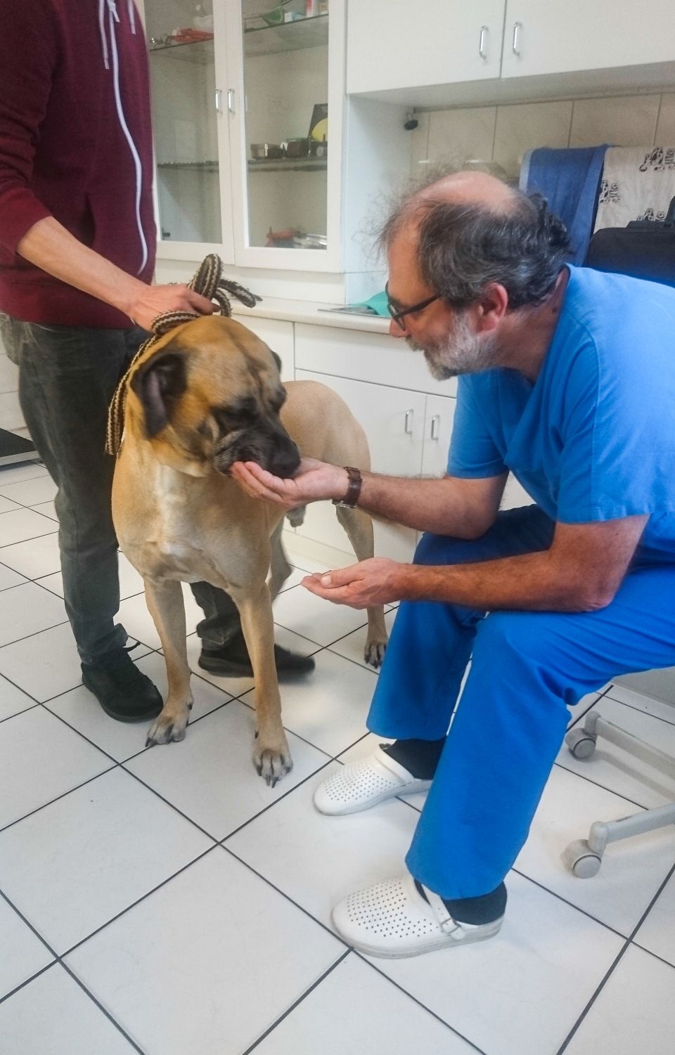 Jens Riege Kleintierpraxis (Dipl. Vet. Med.)