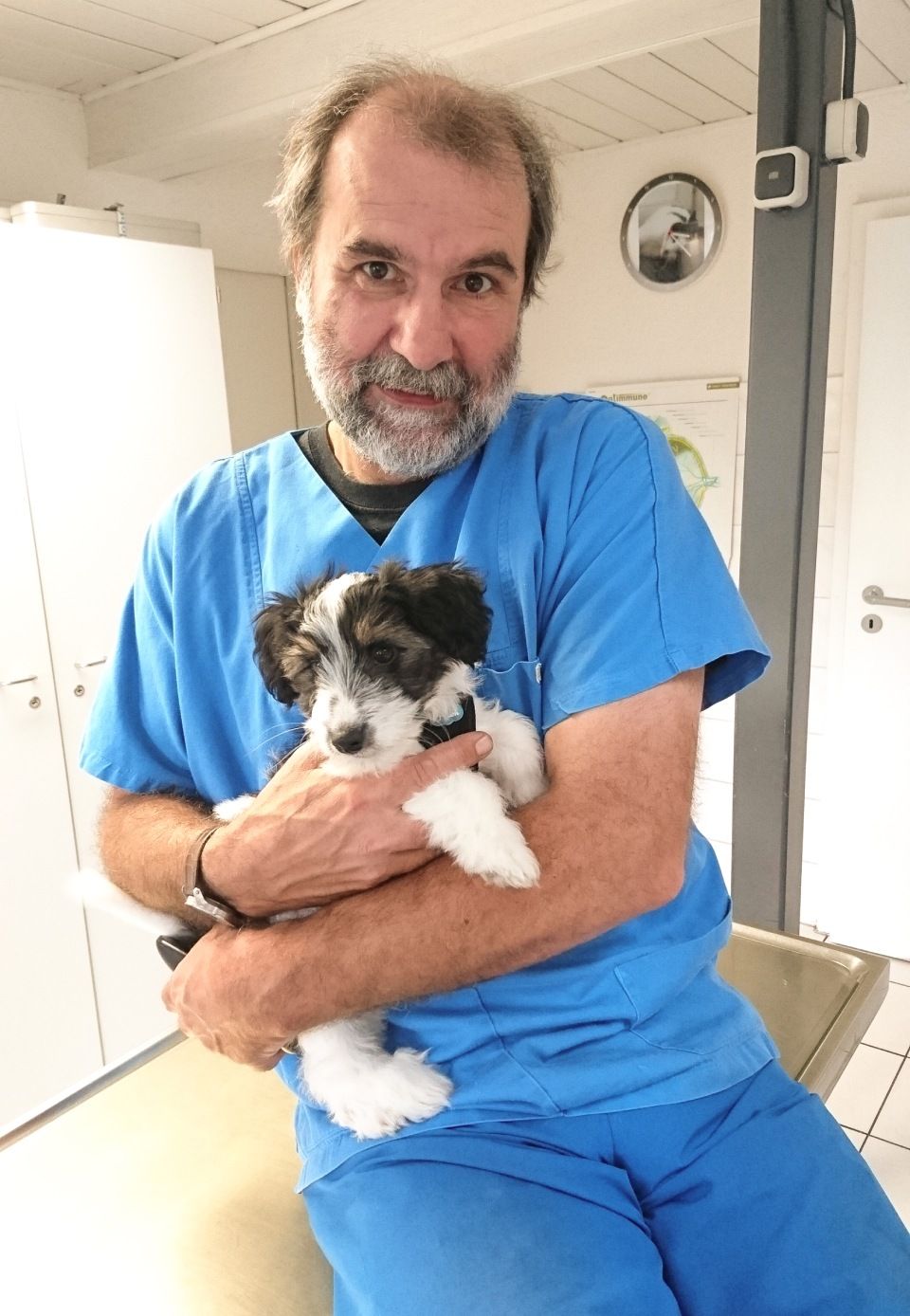 Jens Riege Kleintierpraxis (Dipl. Vet. Med.)