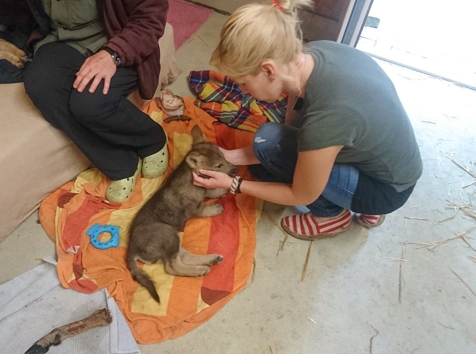 Jens Riege Kleintierpraxis (Dipl. Vet. Med.)