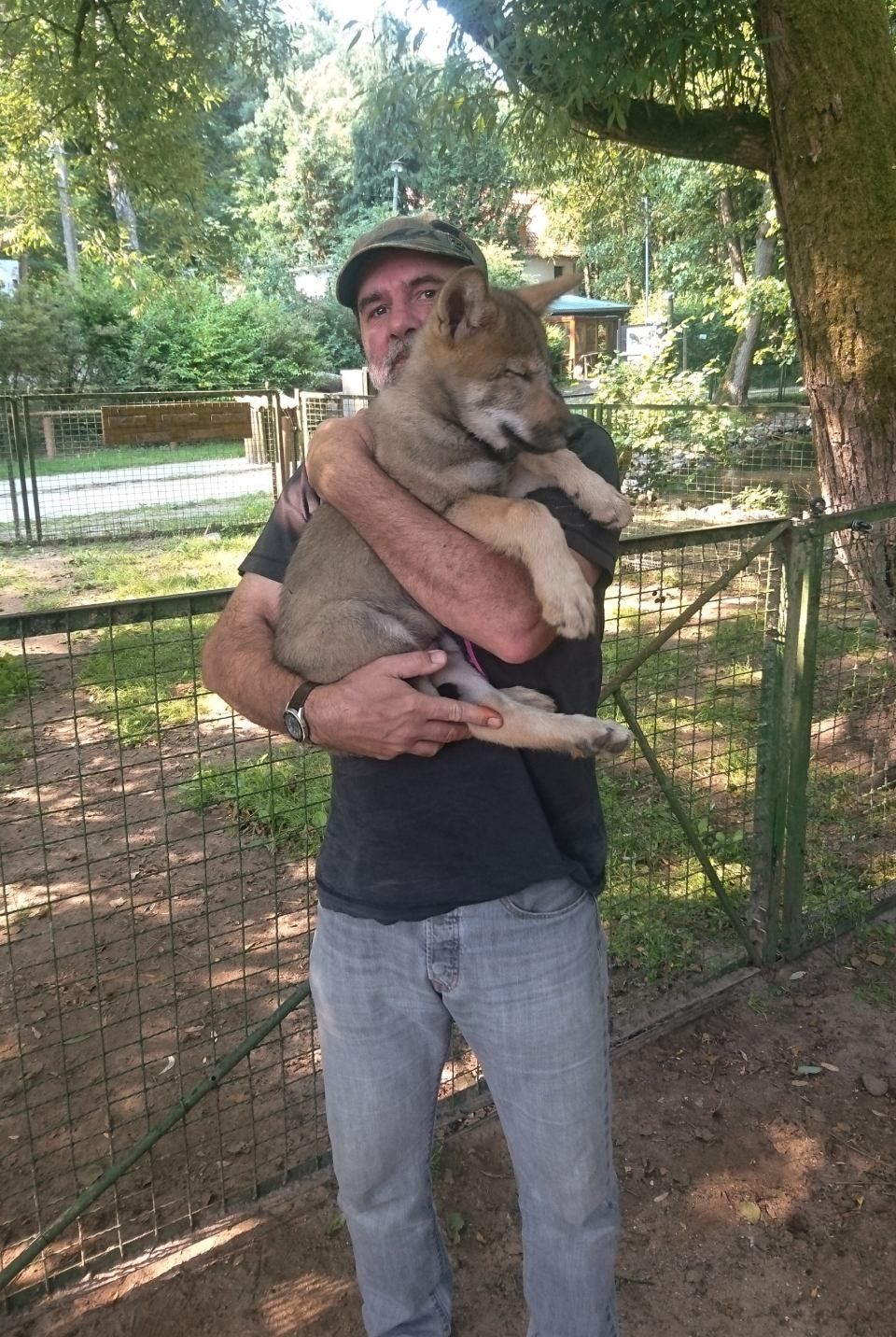 Jens Riege Kleintierpraxis (Dipl. Vet. Med.)