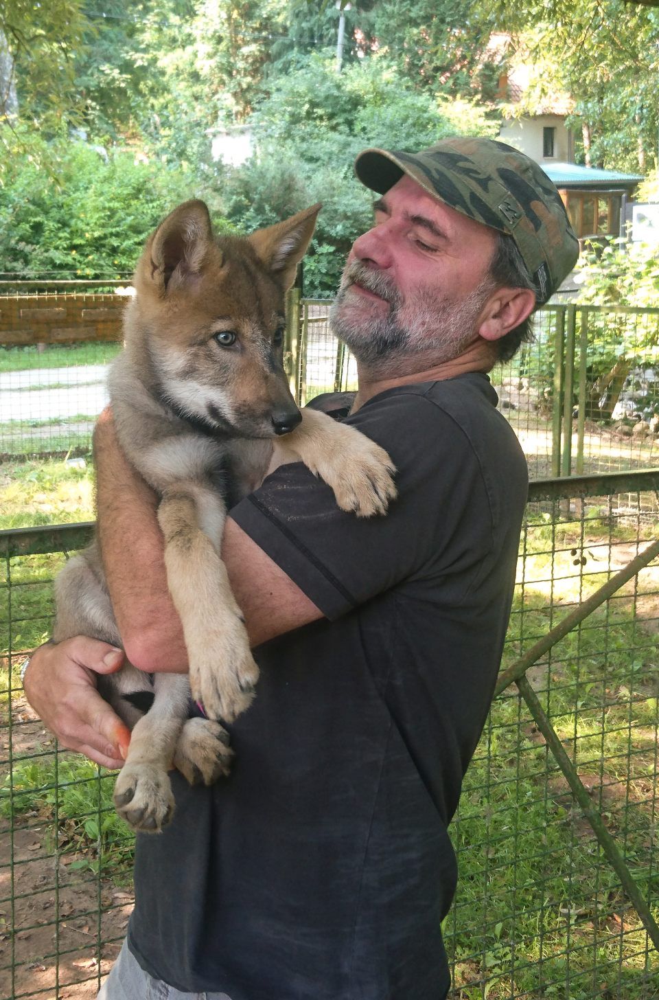 Jens Riege Kleintierpraxis (Dipl. Vet. Med.)