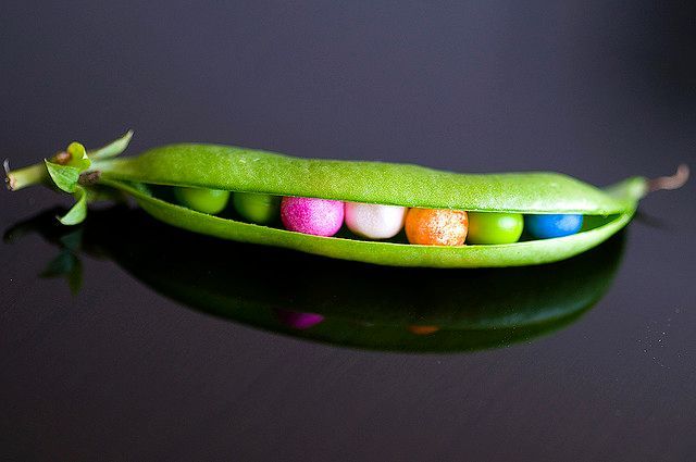 baccello di pisello con all'interno dei piselli colorati