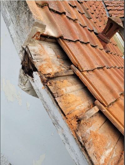 Rénovation de charpente