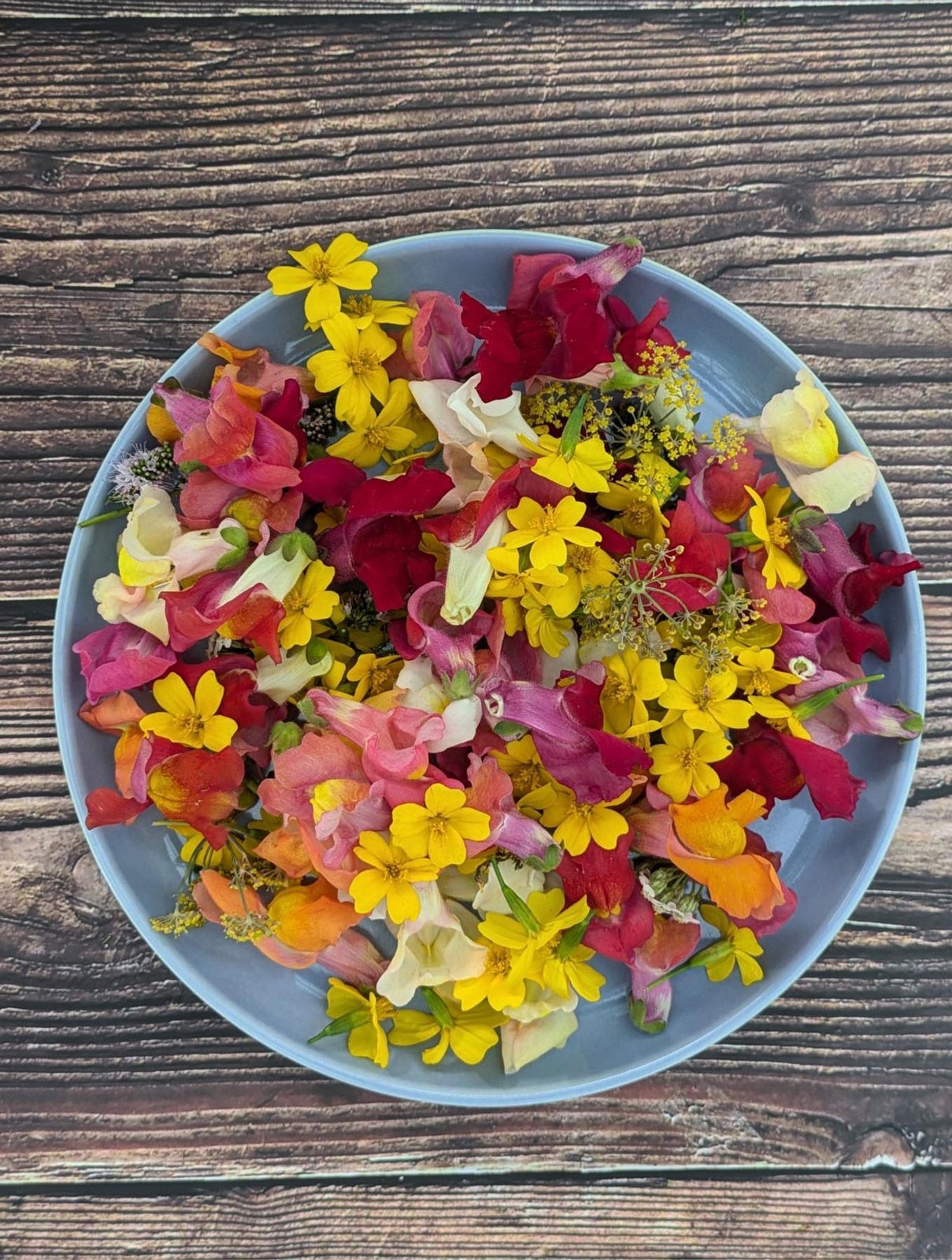 Essbare Blüten und Wildkräuter | Max Plöger