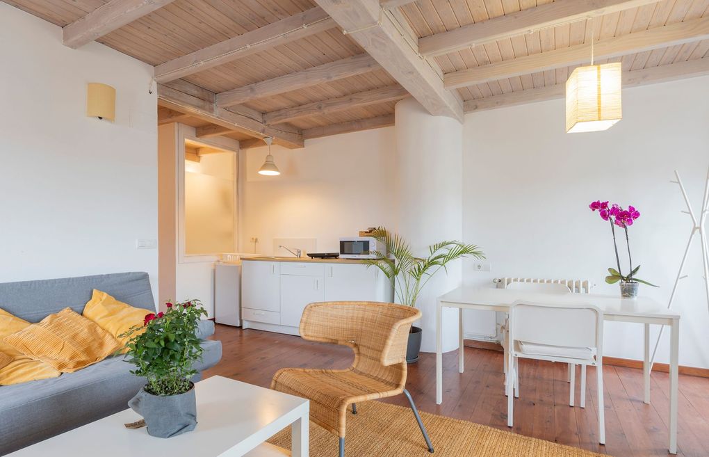 Luminoso salón con sofá gris, silla de mimbre, mesa de comedor blanca, rincón de cocina y orquídea rosa sobre una alfombra tejida.