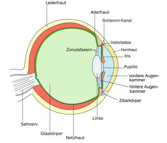 Augenheilkunde - Augenarztpraxis am Stampfenbachplatz - Zürich