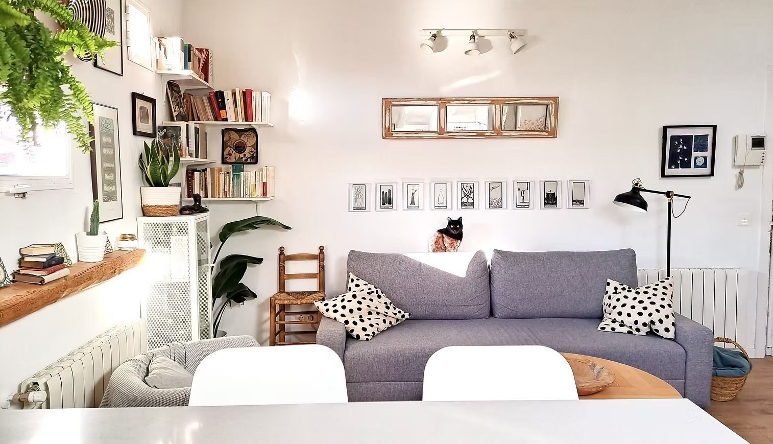Sala de estar luminosa con sofá gris, sillas blancas, plantas, cuadros y luz natural cálida.