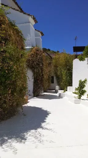 Edificios blancos con exuberante vegetación contra un cielo azul brillante.