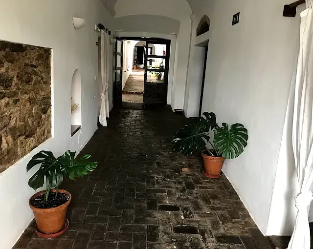 Pasillo largo con piso de ladrillo, paredes blancas, plantas en macetas y puerta de vidrio abierta.