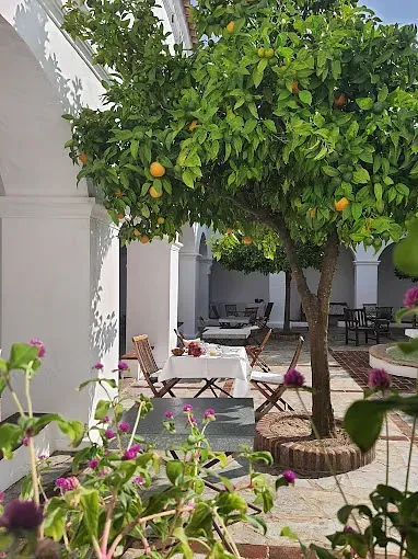 Patio con naranjo, mesas dispuestas para comer, pasillos arqueados y flores en flor.