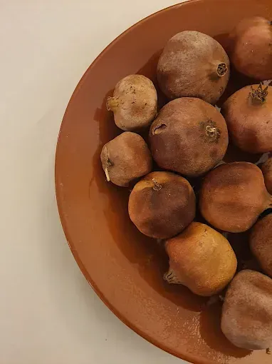 Granadas marrones en un plato de terracota sobre un fondo blanco.