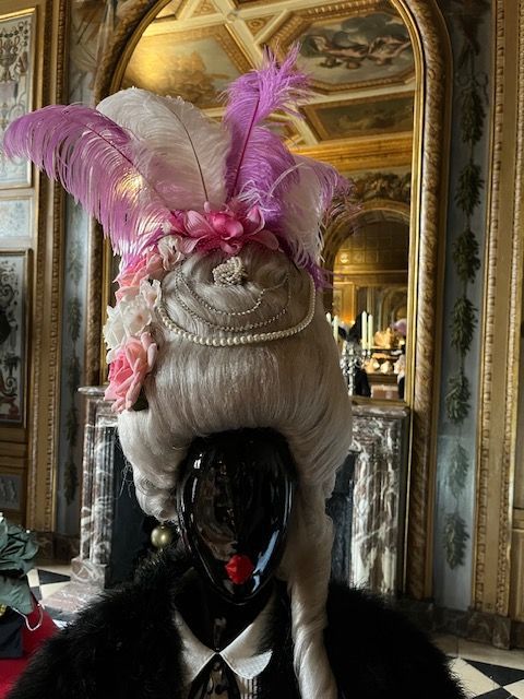 Perruque grise avec des plumes violettes