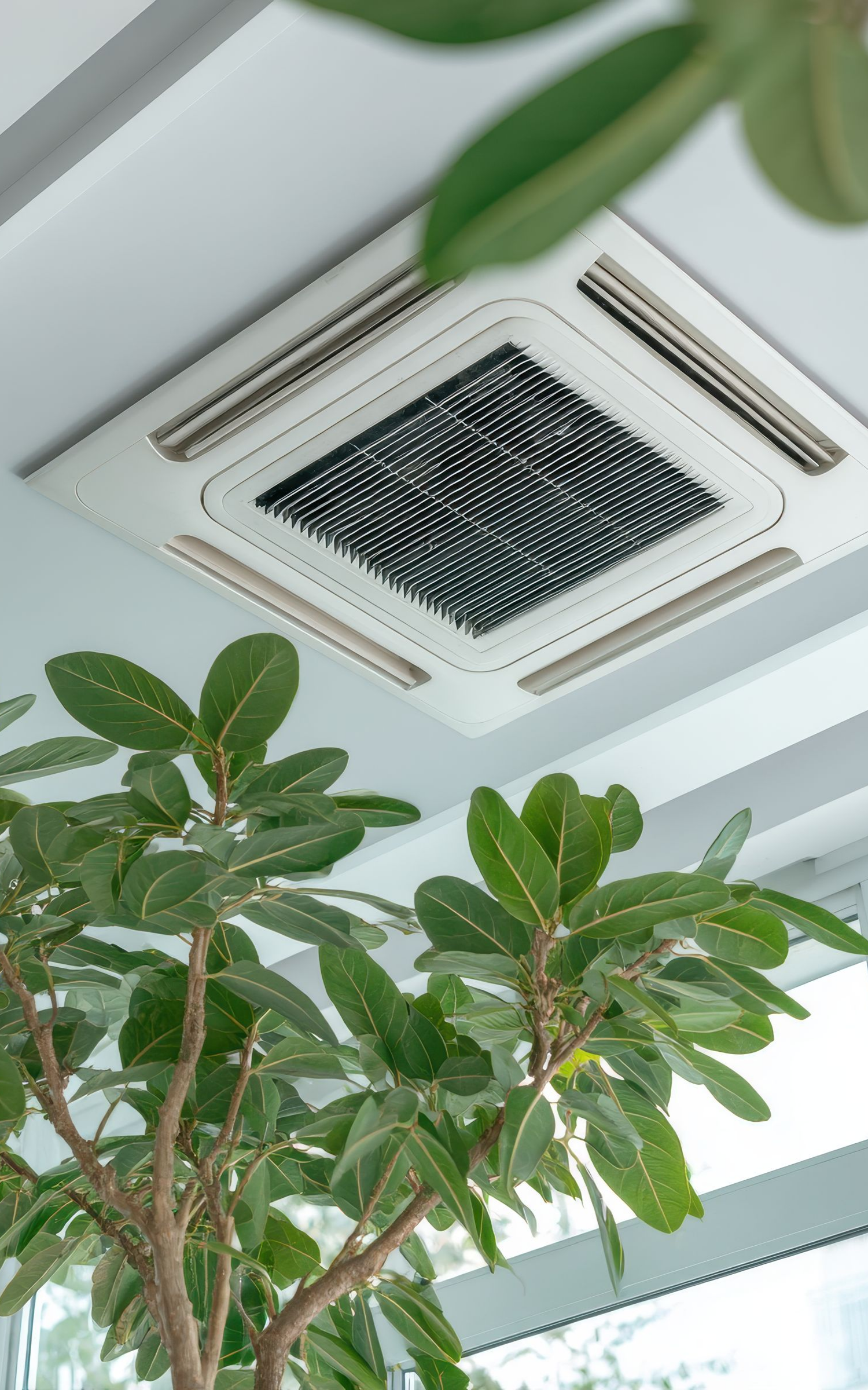 Unité de climatisation fixée au plafond, avec une plante au premier plan. Plafond blanc, unité avec partie centrale et grilles d'aération foncées.