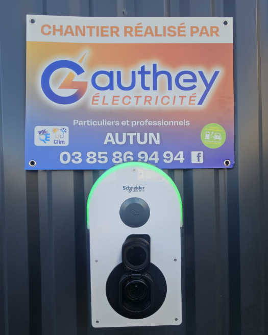 Trois bornes de recharge pour véhicules électriques fixées sur un mur en béton, avec de la verdure.